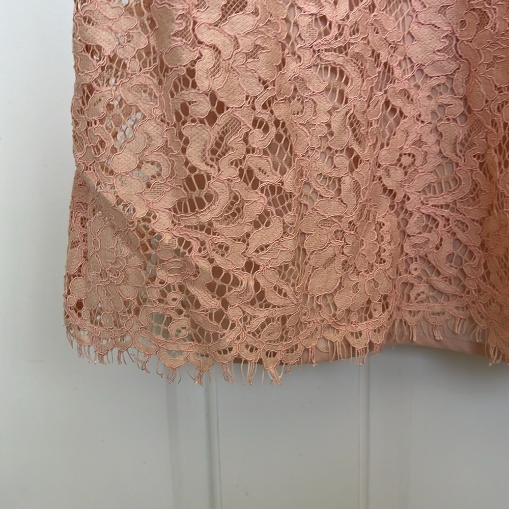 NWT Ann Taylor Loft Eyelash Lace Pink Sheath Dress Mini Above Knee - Picture 5 of 6